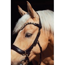 Оголовье 11112-F Bramin SIDE PULL (коричн)V