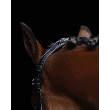 Оголовье 10016-F Bramin POLLY 2в1 выездка/тренз 2повода (черн)V