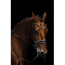 Оголовье 10016-C Bramin POLLY 2в1 выездка/тренз 2повода (черн)V