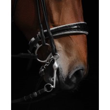 Оголовье 10016-C Bramin POLLY 2в1 выездка/тренз 2повода (черн)V