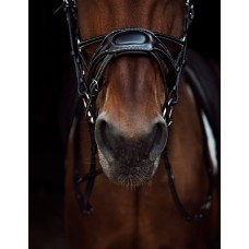 Оголовье 100017-C Bramin 5 POINT PRO (черн)V