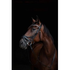 Оголовье 100017-C Bramin 5 POINT PRO (черн)V