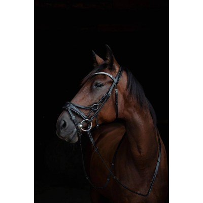 Оголовье 100017-C Bramin 5 POINT PRO (черн)V