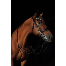 Оголовье 10015-C Bramin ВЫездковое 2повода (черный)V