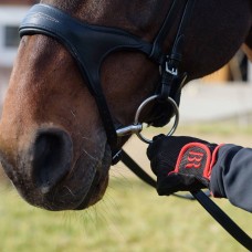 Оголовье 10002-С Bramin REGIN (черн)