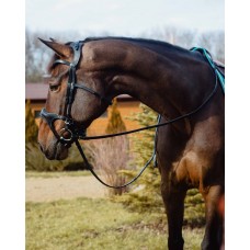 Оголовье 10002-С Bramin REGIN (черн)