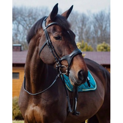 Оголовье 10002-С Bramin REGIN (черн)