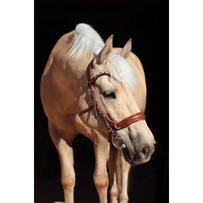 Оголовье 11112-C Bramin SIDE PULL (рыжий)V