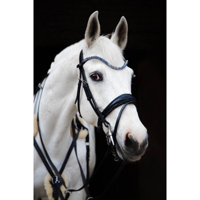 Оголовье 10001-С Bramin BLUE GARNET (черн)V