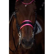 Оголовье 10010-F Bramin FUCHSIA выездка (fuchsia)V