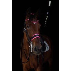 Оголовье 10010-F Bramin FUCHSIA выездка (fuchsia)V