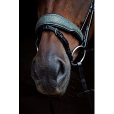 Оголовье 10003-С Bramin RADIANCE (Green)