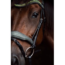 Оголовье 10003-F Bramin RADIANCE (Green)v