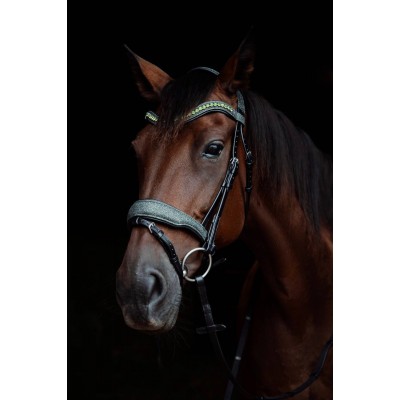 Оголовье 10003-F Bramin RADIANCE (Green)v