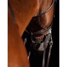 Оголовье 10015-F Bramin ВЫездковое 2повода (черный)V