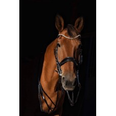 Оголовье 10015-F Bramin ВЫездковое 2повода (черный)V