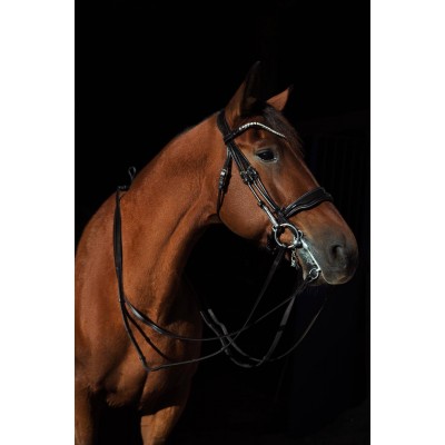 Оголовье 10015-F Bramin ВЫездковое 2повода (черный)V