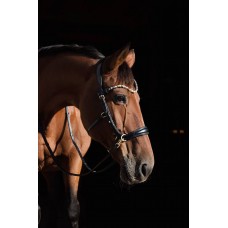 Оголовье 11112-F Bramin SIDE PULL (черн)V