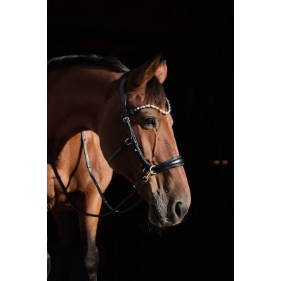 Оголовье 11112-F Bramin SIDE PULL (черн)V