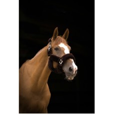 Недоуздок 5100923-F EQUITHÈME Teddy (ассорт)V